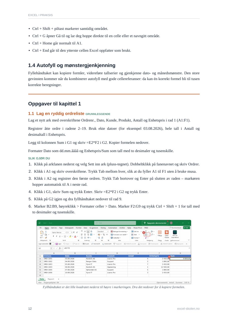 Smakebit fra boka Excel i praksis: Oppgave 1.1 med trinnvis fasit